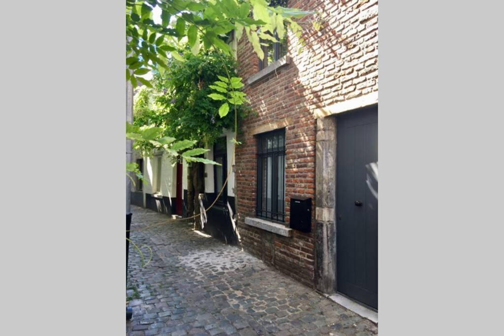 En Plein Coeur De Bruxelles. Superbe Duplex.A Voir! Eksteriør bilde